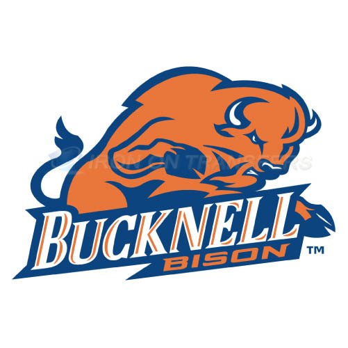 Bucknell Bison logo T-shirts Iron On Transfers N4037 - Click Image to Close